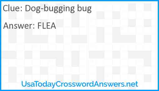 Dog-bugging bug Answer