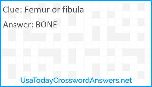 Femur or fibula Answer