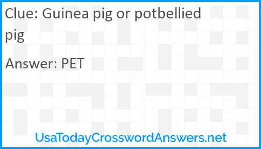 Guinea pig or potbellied pig Answer