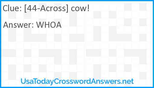[44-Across] cow! Answer