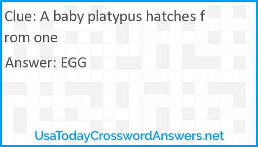 A baby platypus hatches from one Answer