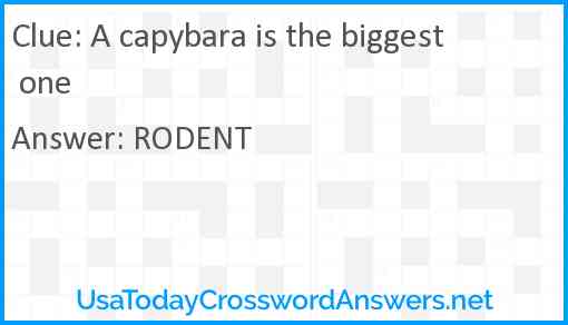 A capybara is the biggest one Answer