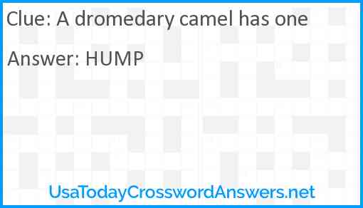 A dromedary camel has one Answer