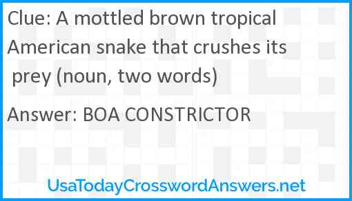 A mottled brown tropical American snake that crushes its prey (noun, two words) Answer