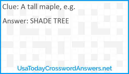 A tall maple, e.g. Answer