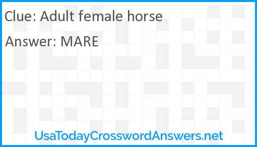 Adult female horse Answer