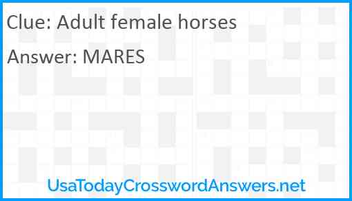 Adult female horses Answer