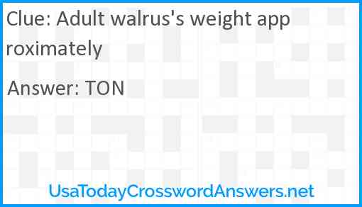 Adult walrus's weight approximately Answer