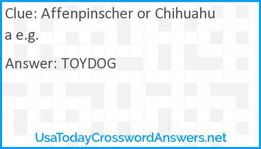 Affenpinscher or Chihuahua e.g. Answer