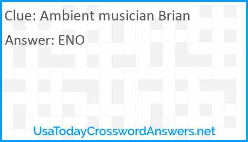 Ambient musician Brian Answer