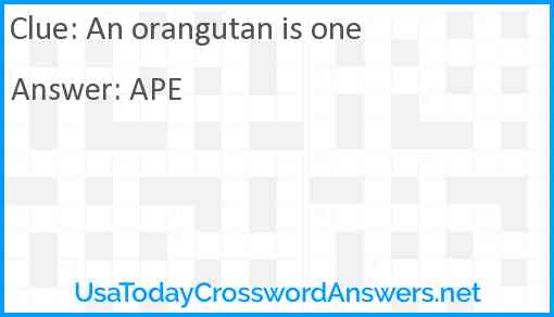 An orangutan is one Answer