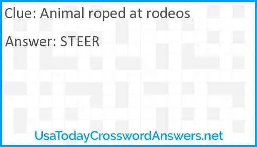 Animal roped at rodeos Answer