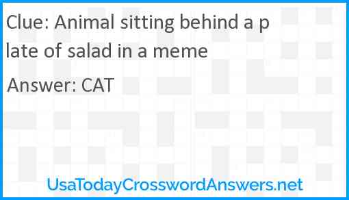 Animal sitting behind a plate of salad in a meme Answer