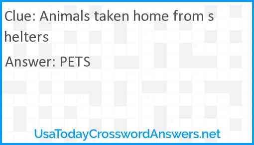 Animals taken home from shelters Answer