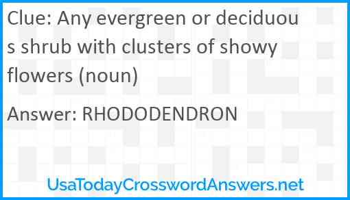 Any evergreen or deciduous shrub with clusters of showy flowers (noun) Answer