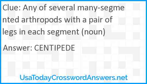 Any of several many-segmented arthropods with a pair of legs in each segment (noun) Answer