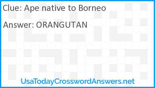 Ape native to Borneo Answer