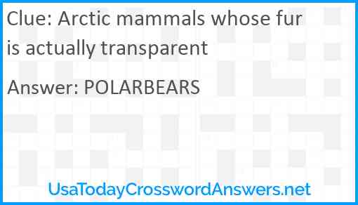 Arctic mammals whose fur is actually transparent Answer