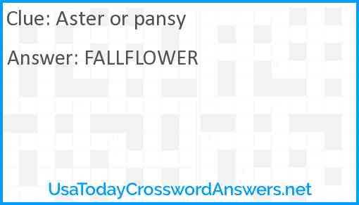 Aster or pansy Answer
