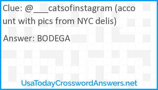@___catsofinstagram (account with pics from NYC delis) Answer