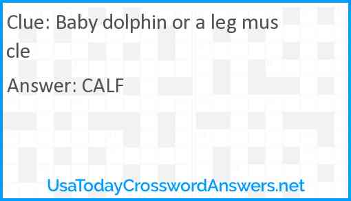 Baby dolphin or a leg muscle Answer