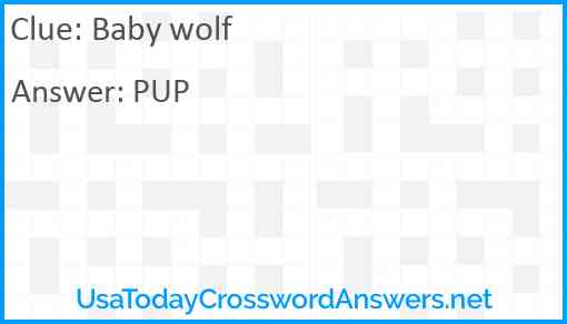 Baby wolf Answer