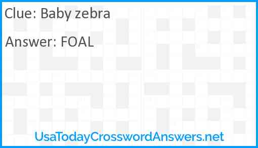 Baby zebra Answer