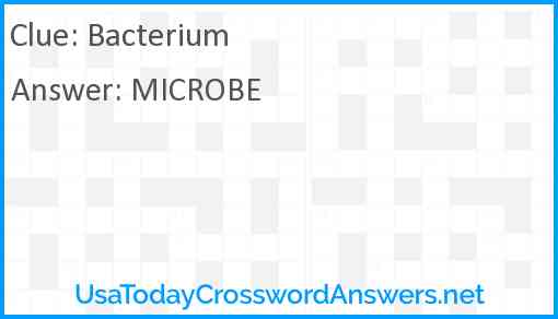 Bacterium Answer