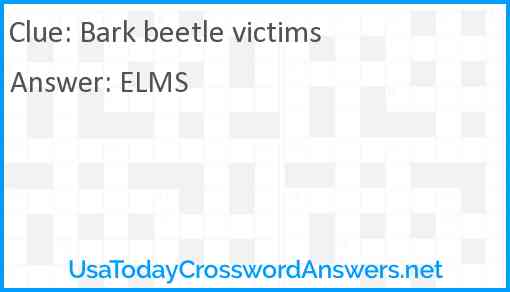 Bark beetle victims Answer
