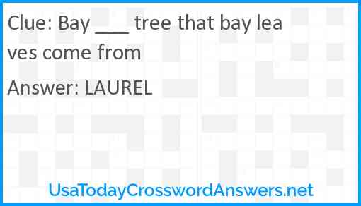 Bay ___ tree that bay leaves come from Answer