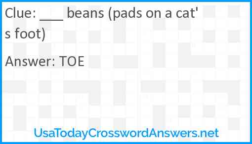 ___ beans (pads on a cat's foot) Answer