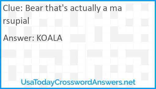 Bear that's actually a marsupial Answer