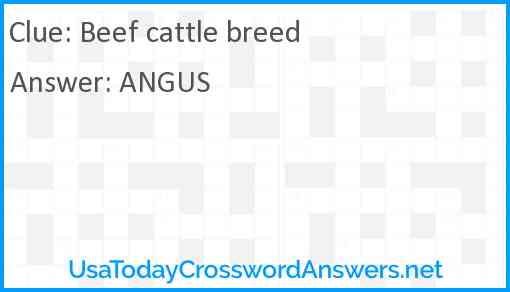 Beef cattle breed Answer