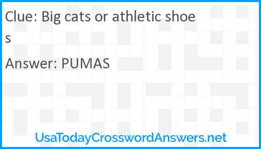 Big cats or athletic shoes Answer