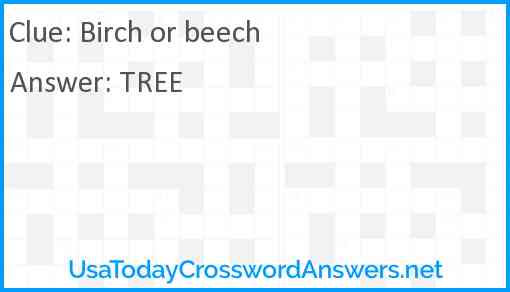 Birch or beech Answer