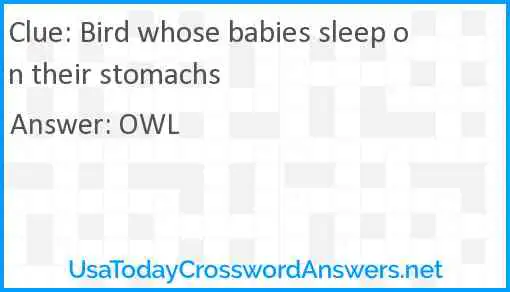 Bird whose babies sleep on their stomachs Answer