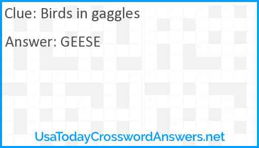 Birds in gaggles Answer