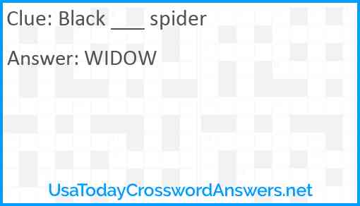 Black ___ spider Answer