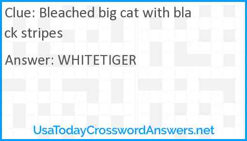 Bleached big cat with black stripes Answer