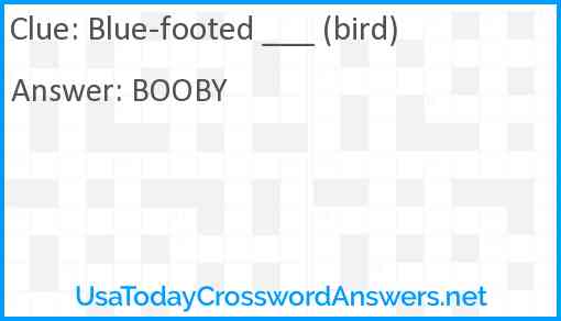 Blue-footed ___ (bird) Answer