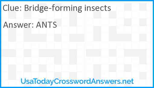 Bridge-forming insects Answer