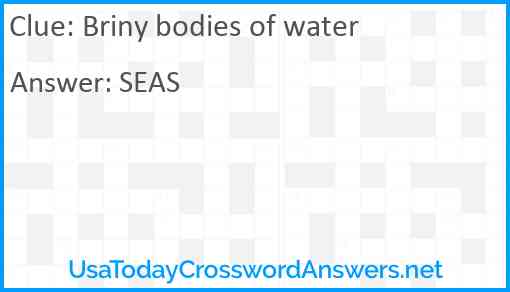 Briny bodies of water Answer