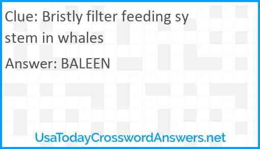Bristly filter feeding system in whales Answer