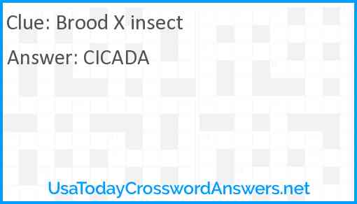 Brood X insect Answer