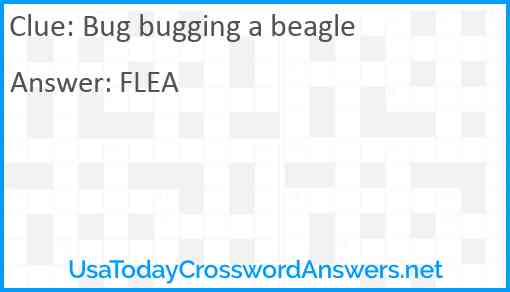 Bug bugging a beagle Answer