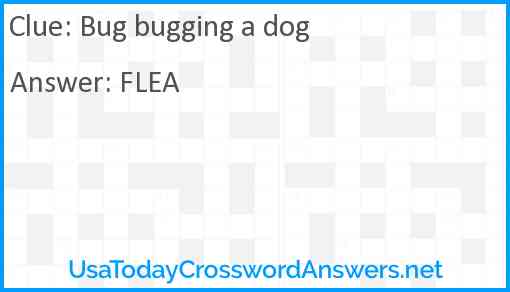 Bug bugging a dog Answer