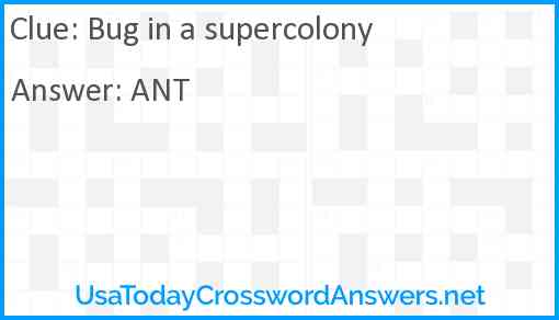Bug in a supercolony Answer
