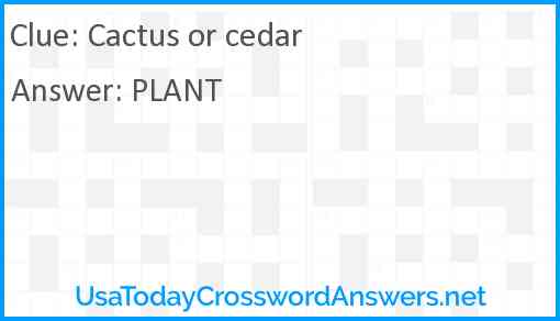 Cactus or cedar Answer