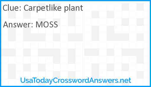 Carpetlike plant Answer