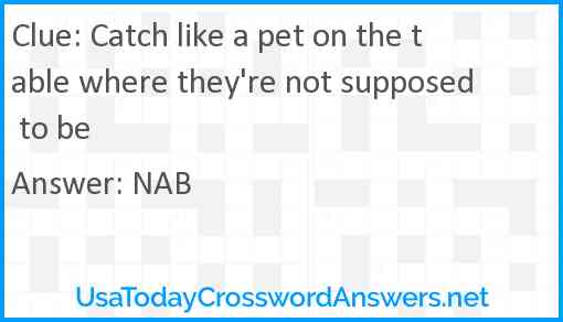 Catch like a pet on the table where they're not supposed to be Answer